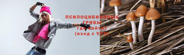 первитин Лабытнанги