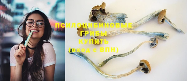первитин Лабытнанги