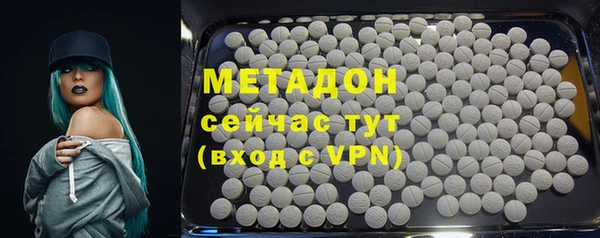 ГАЛЛЮЦИНОГЕННЫЕ ГРИБЫ Лагань