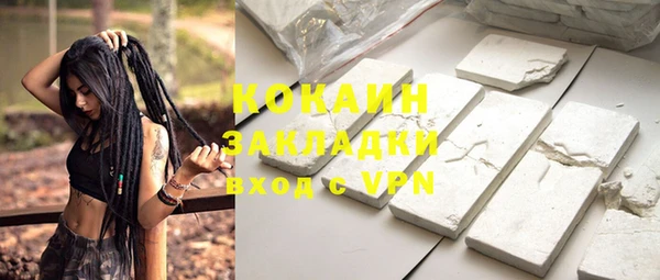 ГАЛЛЮЦИНОГЕННЫЕ ГРИБЫ Лагань