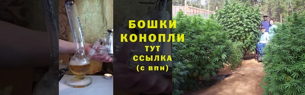 первитин Лабытнанги