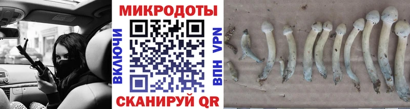 Галлюциногенные грибы мицелий  Купить где  Кодинск 