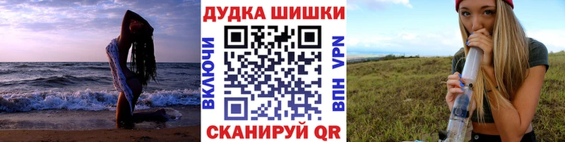 Купить где Кодинск Бошки марихуана Ganja